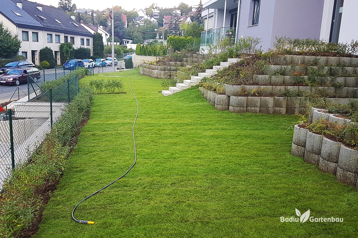 Pflanzringe Dachswald – Badiu Gartenbau